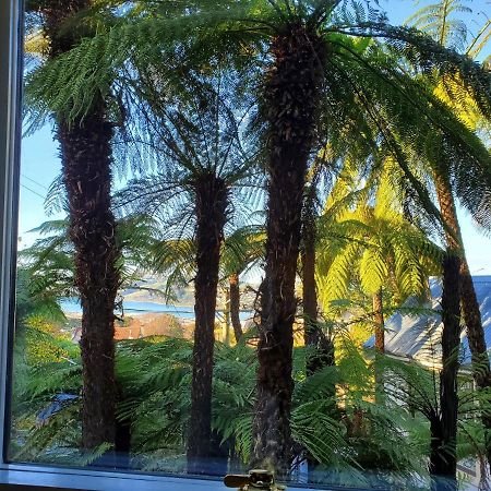Ferienwohnung Koru Flat Dunedin Exterior foto